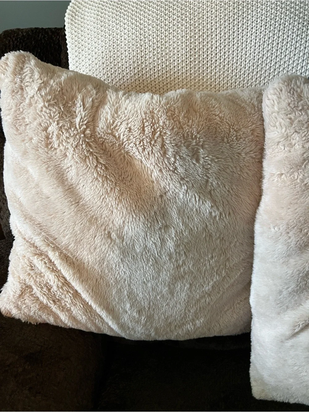 Plush Cream Decorative Throw Pillow Set - Soft Texture